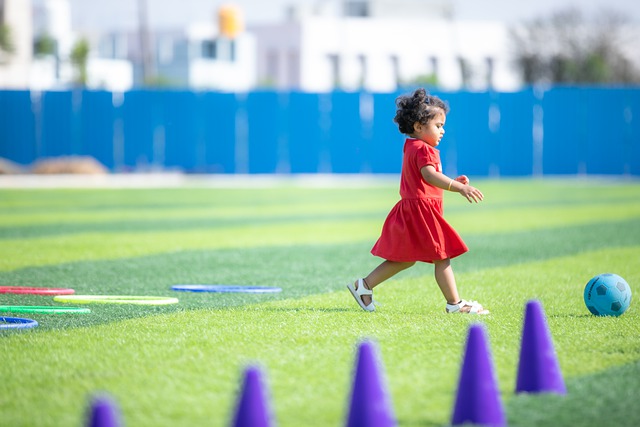 整体的竞争 整体的竞争