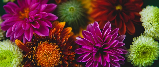 意外之喜 意外之喜