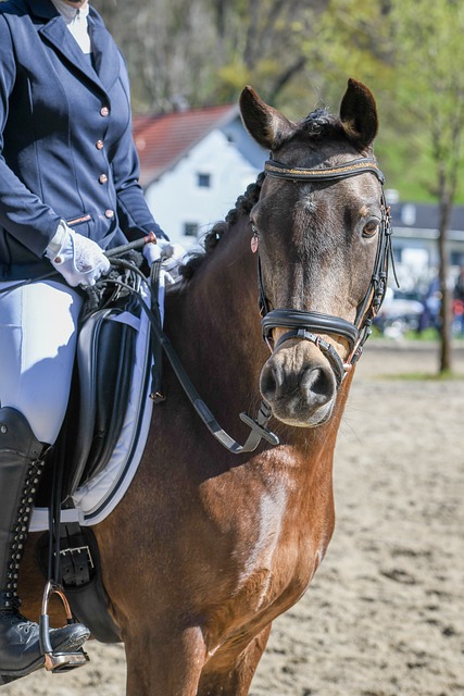 部调岗或提 部调岗或提